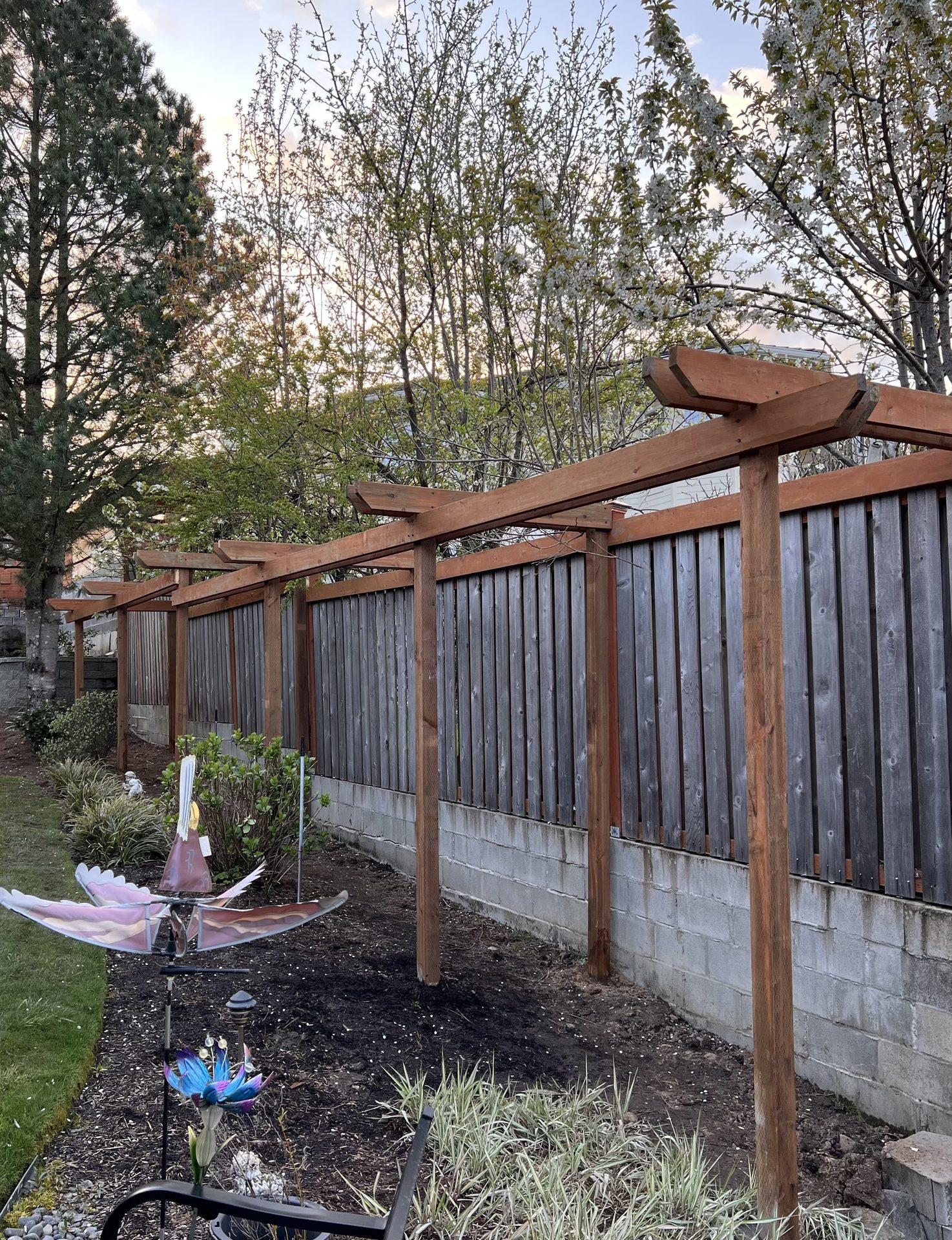 Cedar fence w/ pergola cap