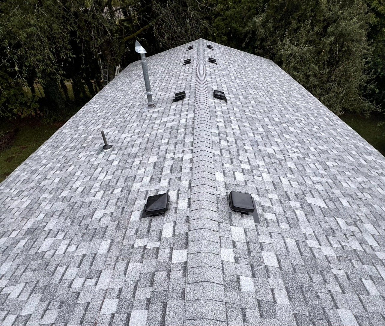 Ridge Detail